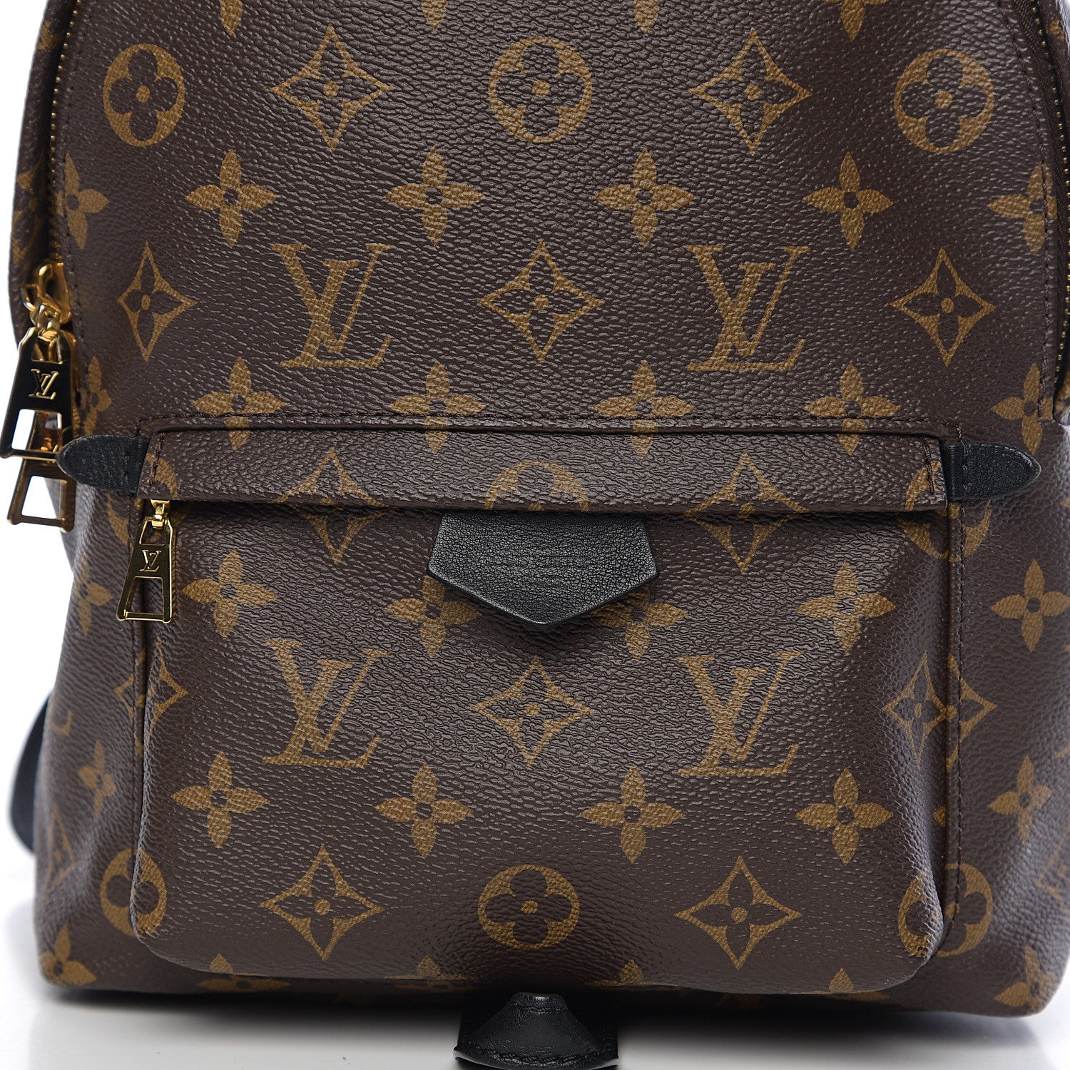 Louis Vuitton Monogram Palm Springs Backpack PM 8 of 8