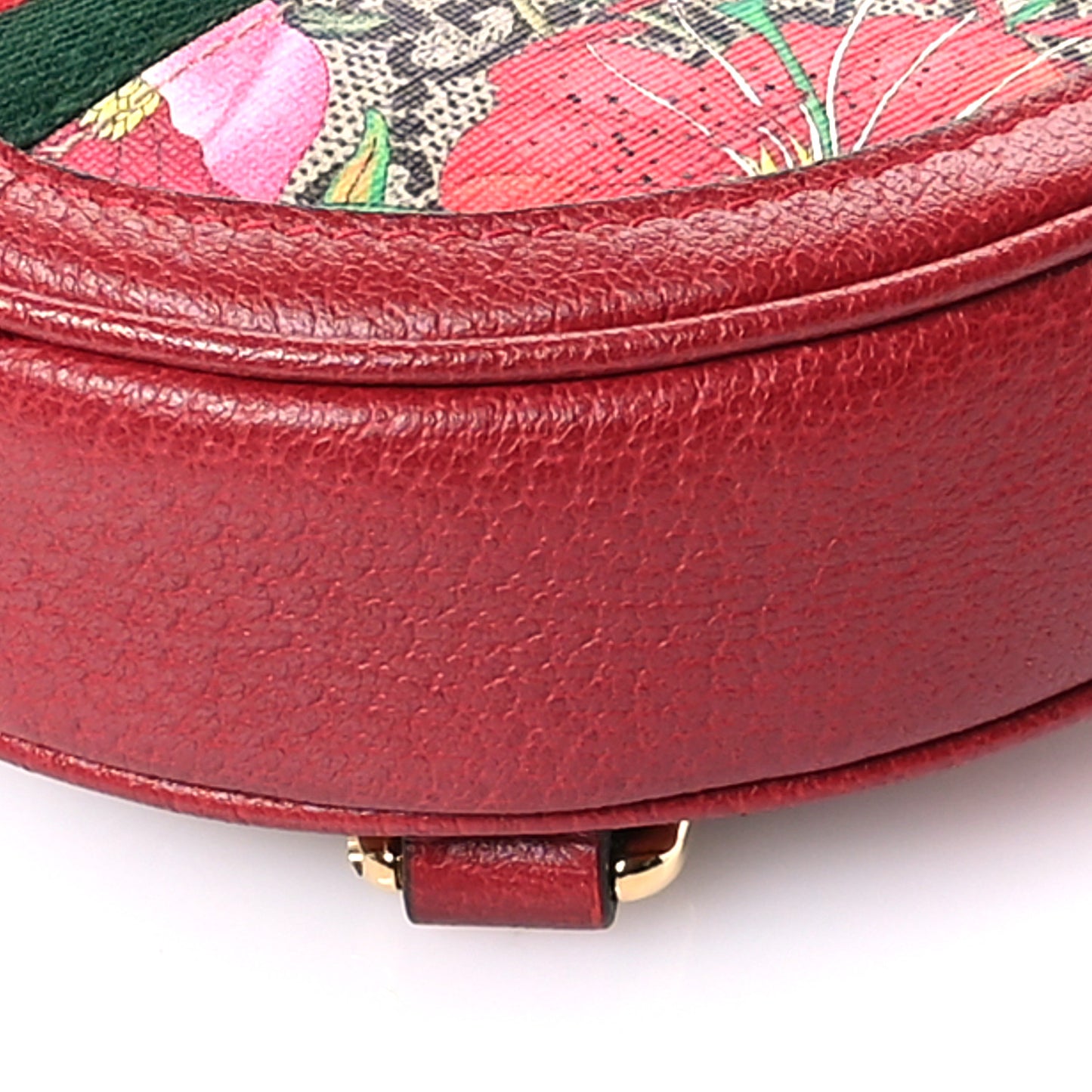GG Supreme Monogram Web Flora Mini Ophidia Round Backpack Red