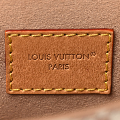 Louis Vuitton Monogram Pochette Camille Dune 6 of 9
