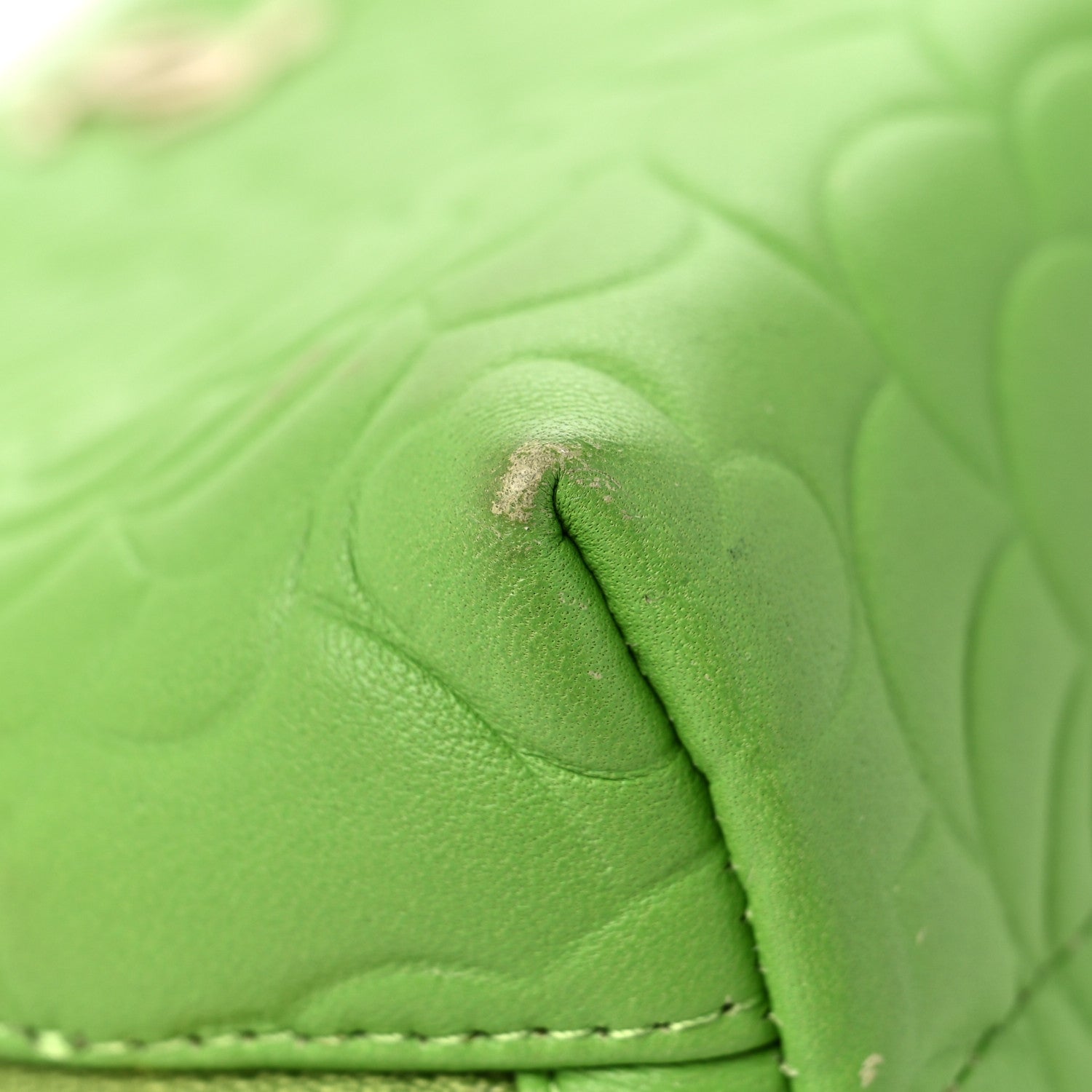 Chanel Lambskin Camellia Embossed Cosmetic Case Green 10 of 11