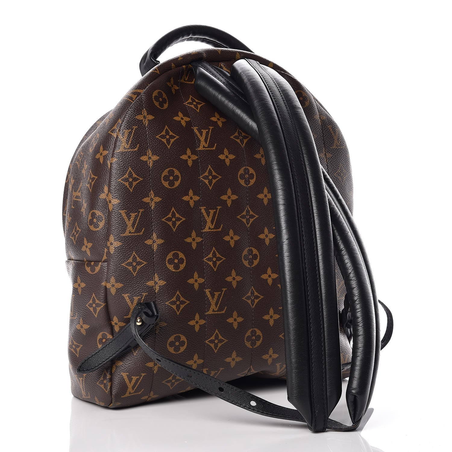 Louis Vuitton Monogram Palm Springs Backpack MM 3 of 14