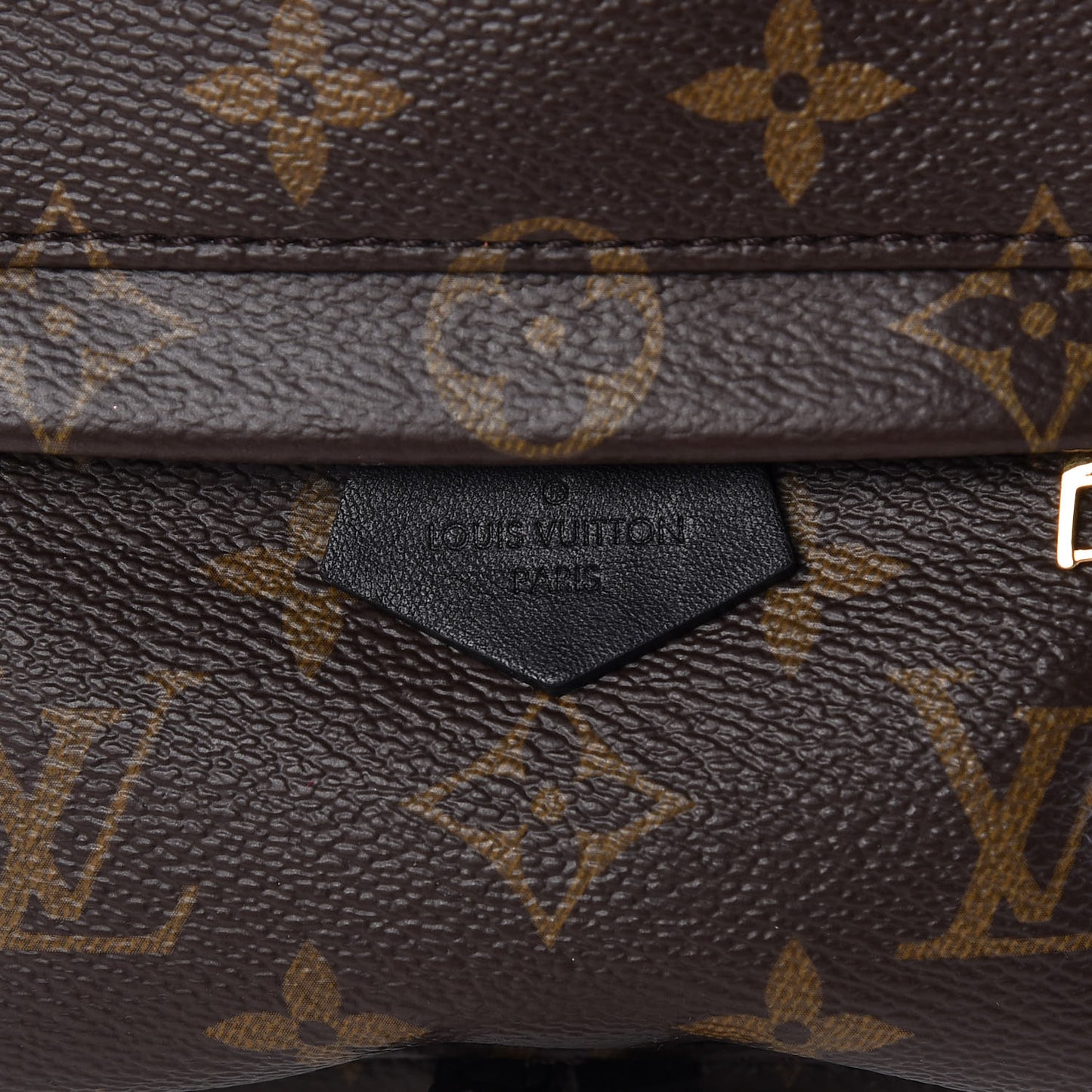 Monogram Palm Springs Backpack Mini