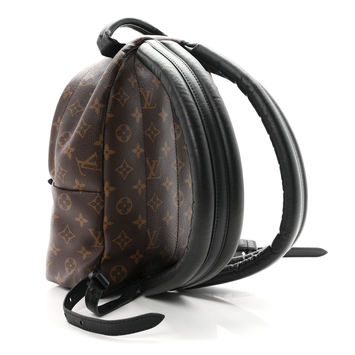 Louis Vuitton Monogram Palm Springs Backpack PM 2 of 9