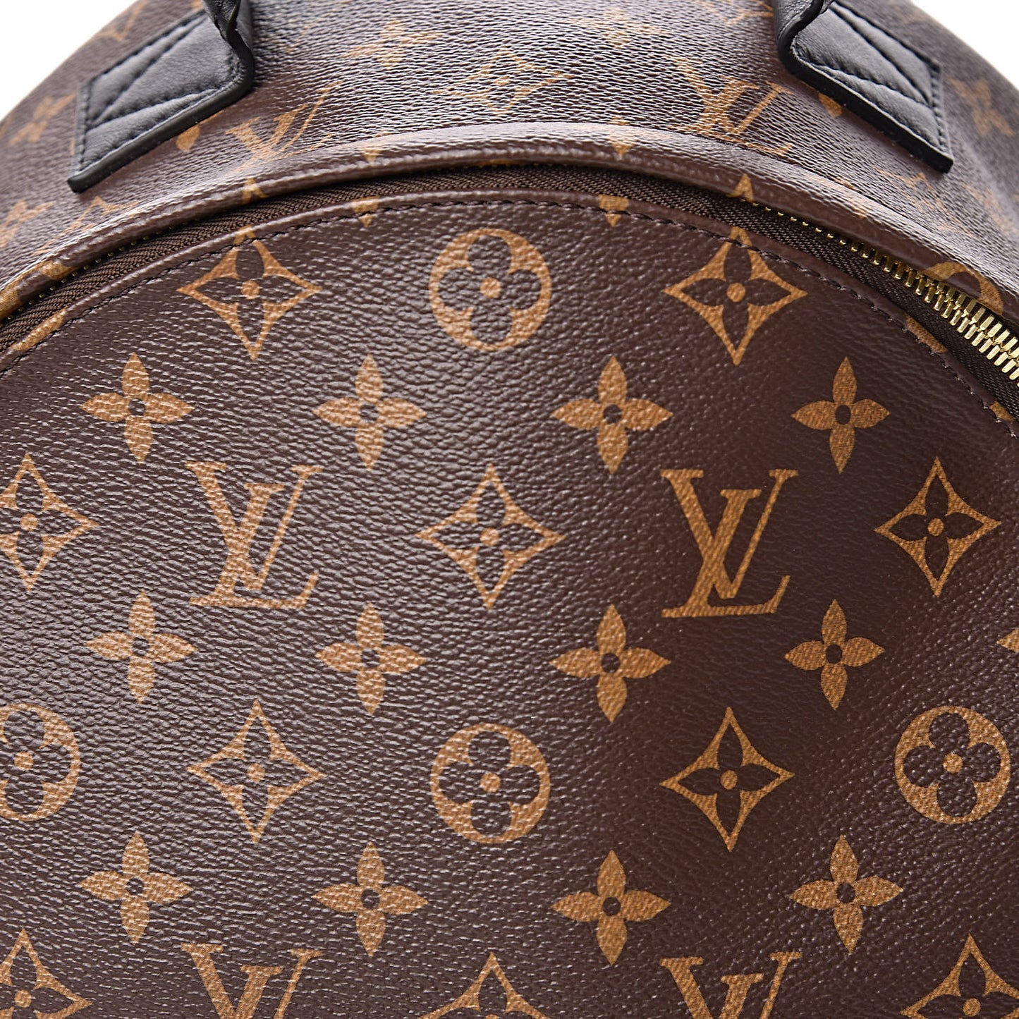 Monogram Palm Springs Backpack MM