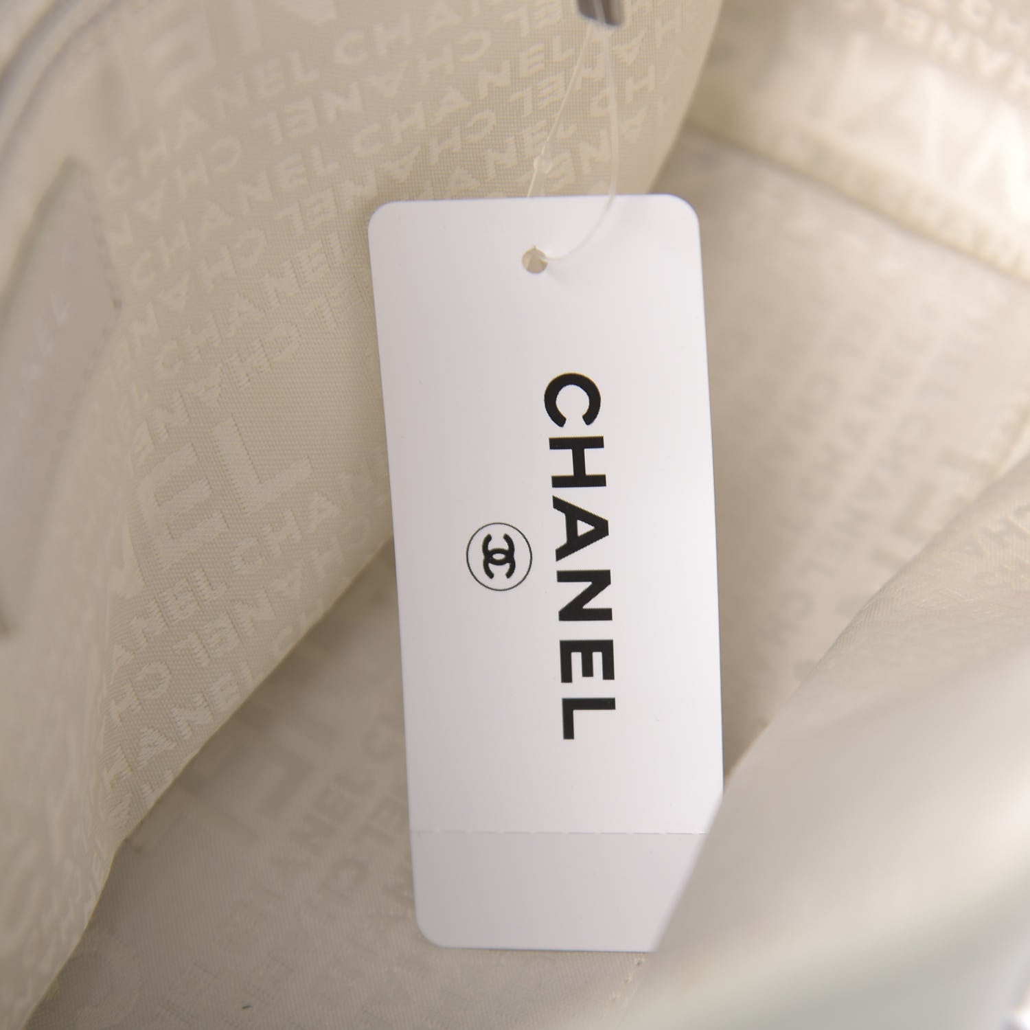 Chanel Lambskin Quilted Large Mademoiselle Double Flap Light Green 9 of 12