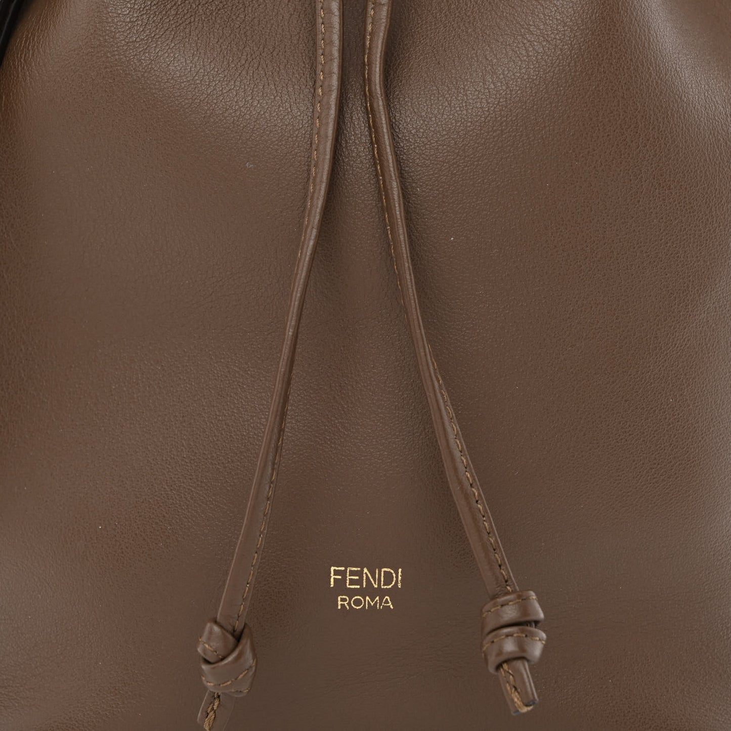 Vitello Grace Matte F is Fendi Grande Mon Tresor Bucket Bag Maya