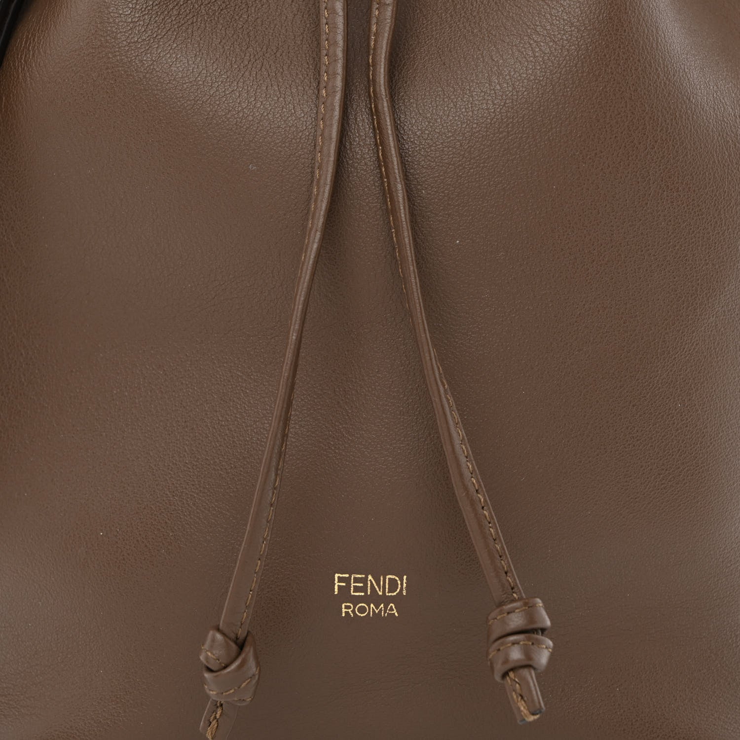 Fendi Vitello Grace Matte F is Fendi Grande Mon Tresor Bucket Bag Maya 7 of 9