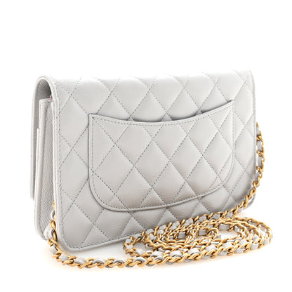 Chanel Caviar Quilted Textured CC Wallet on Chain WOC Grey 3 of 12