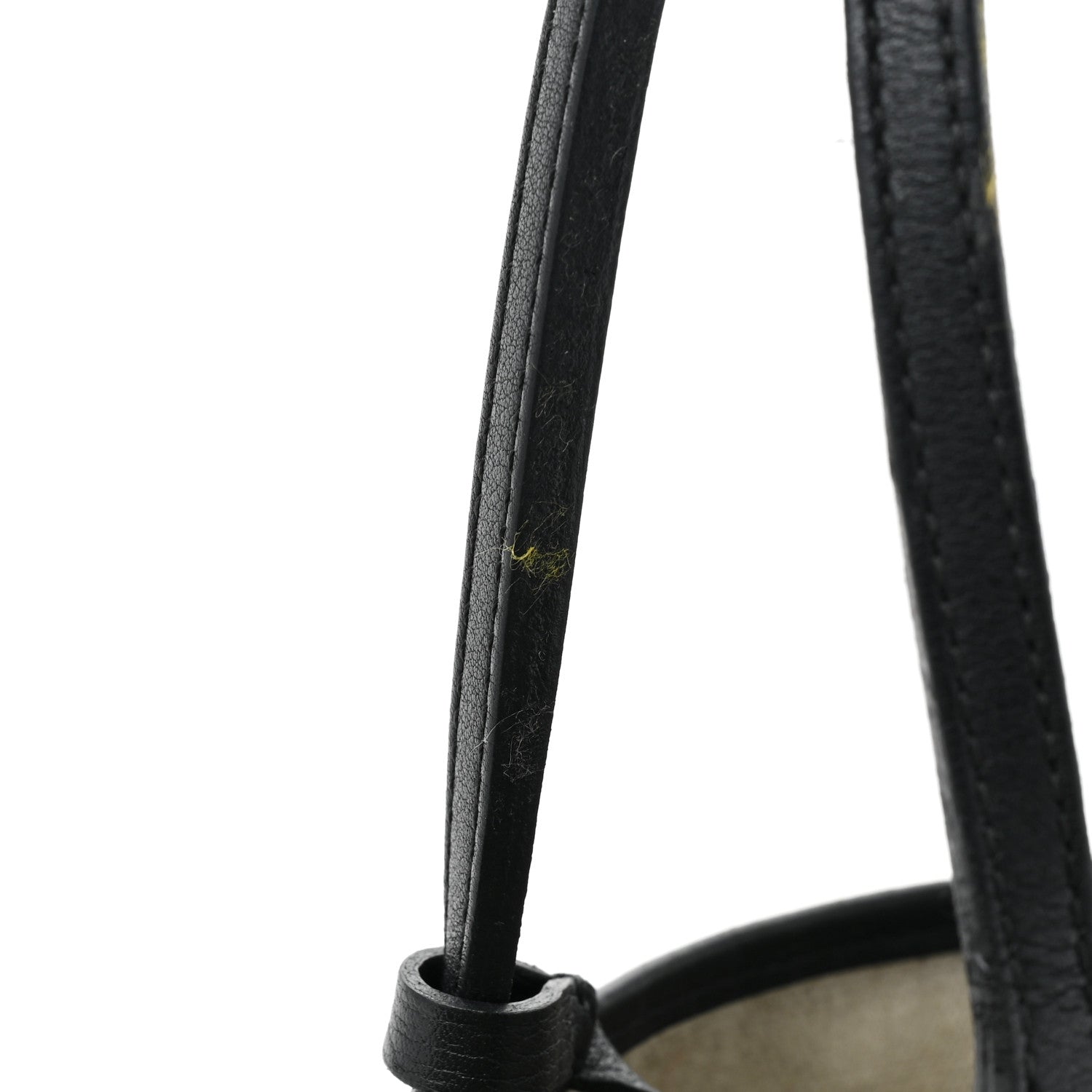 Goyard Goyardine Saint Louis PM Black 15 of 20