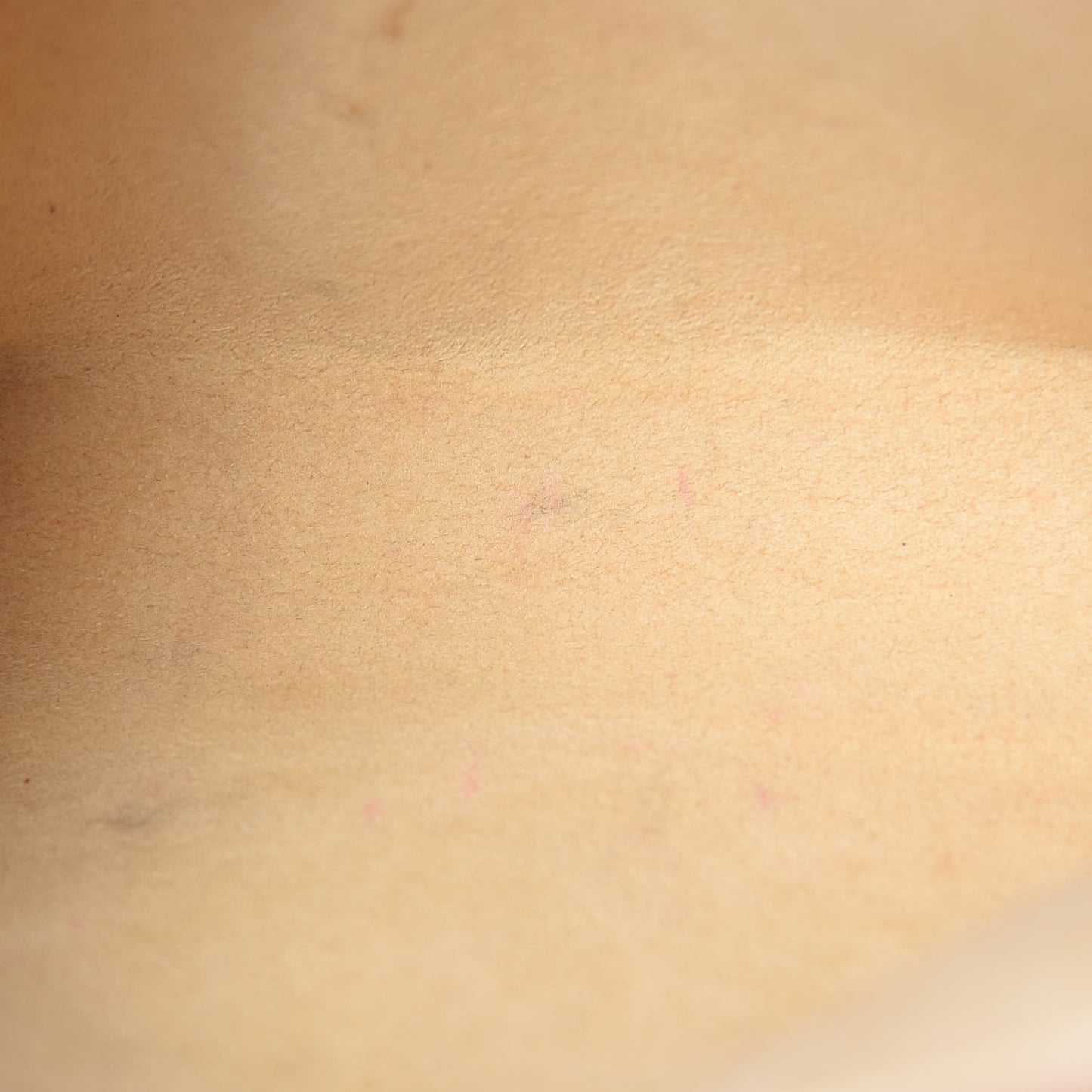 Monogram Pochette Florentine XS