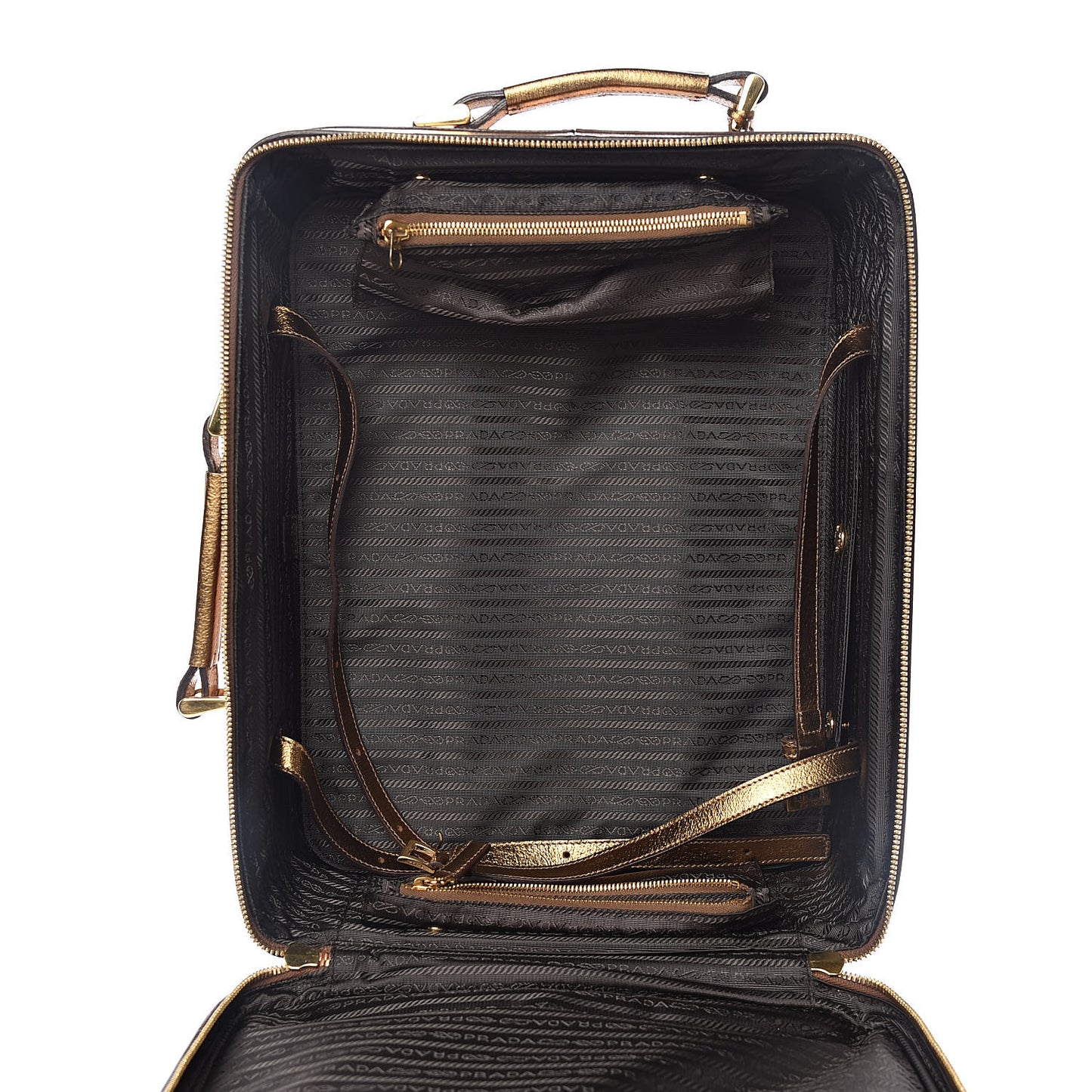 Metallic Cinghiale Canvas Trolley Luggage Naturale Oro