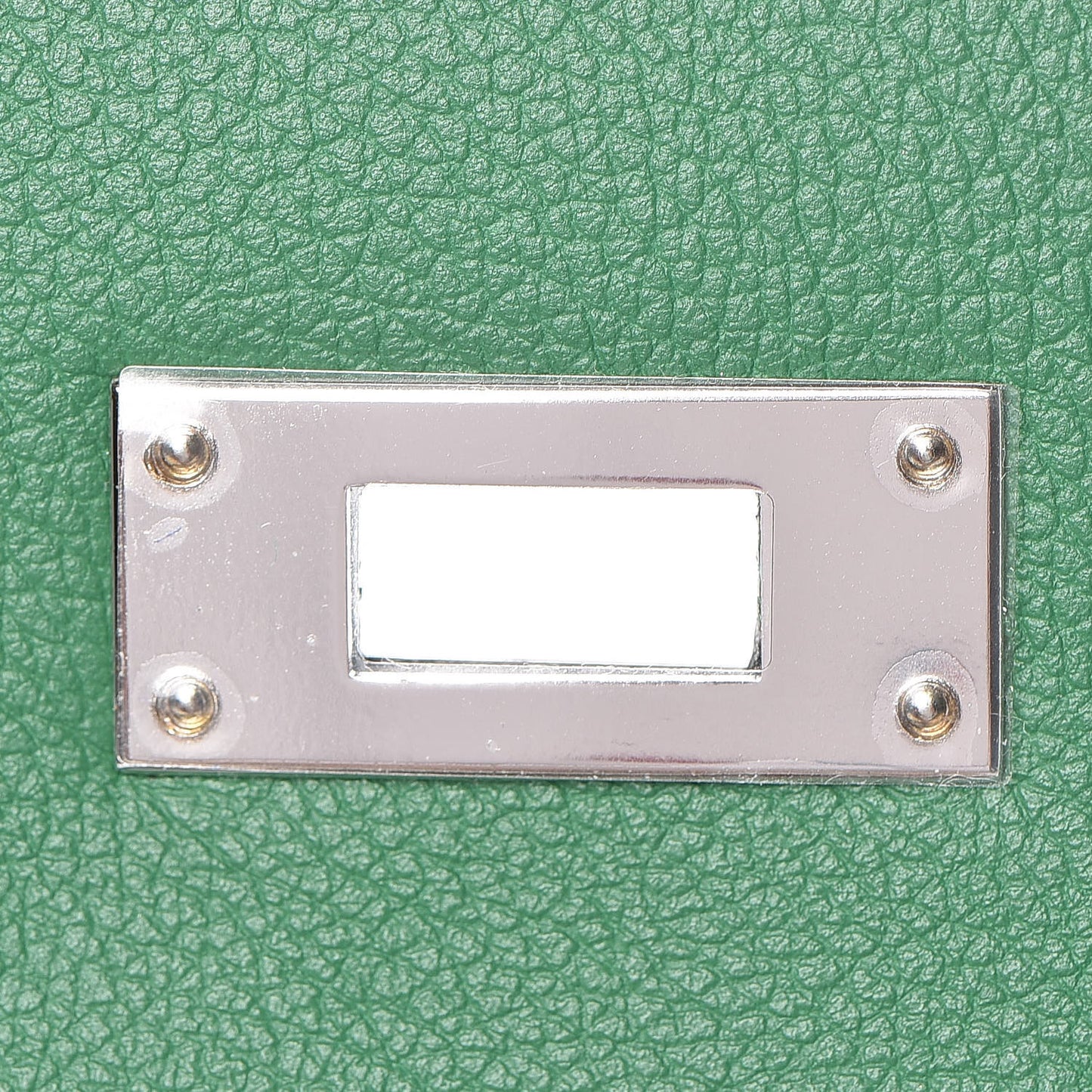 Evercolor Kelly Retourne 32 Cactus