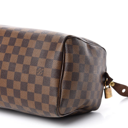 Louis Vuitton Damier Ebene Speedy 25 7 of 16
