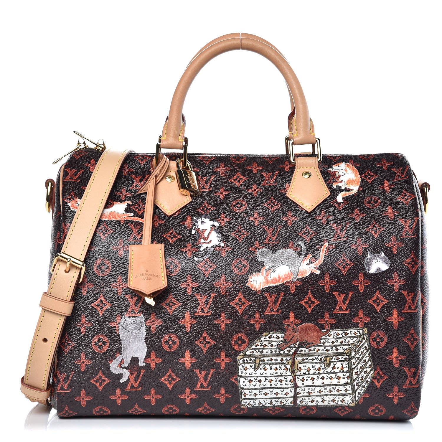 Louis Vuitton Catogram Speedy Bandouliere 30 Marron 1 of 10