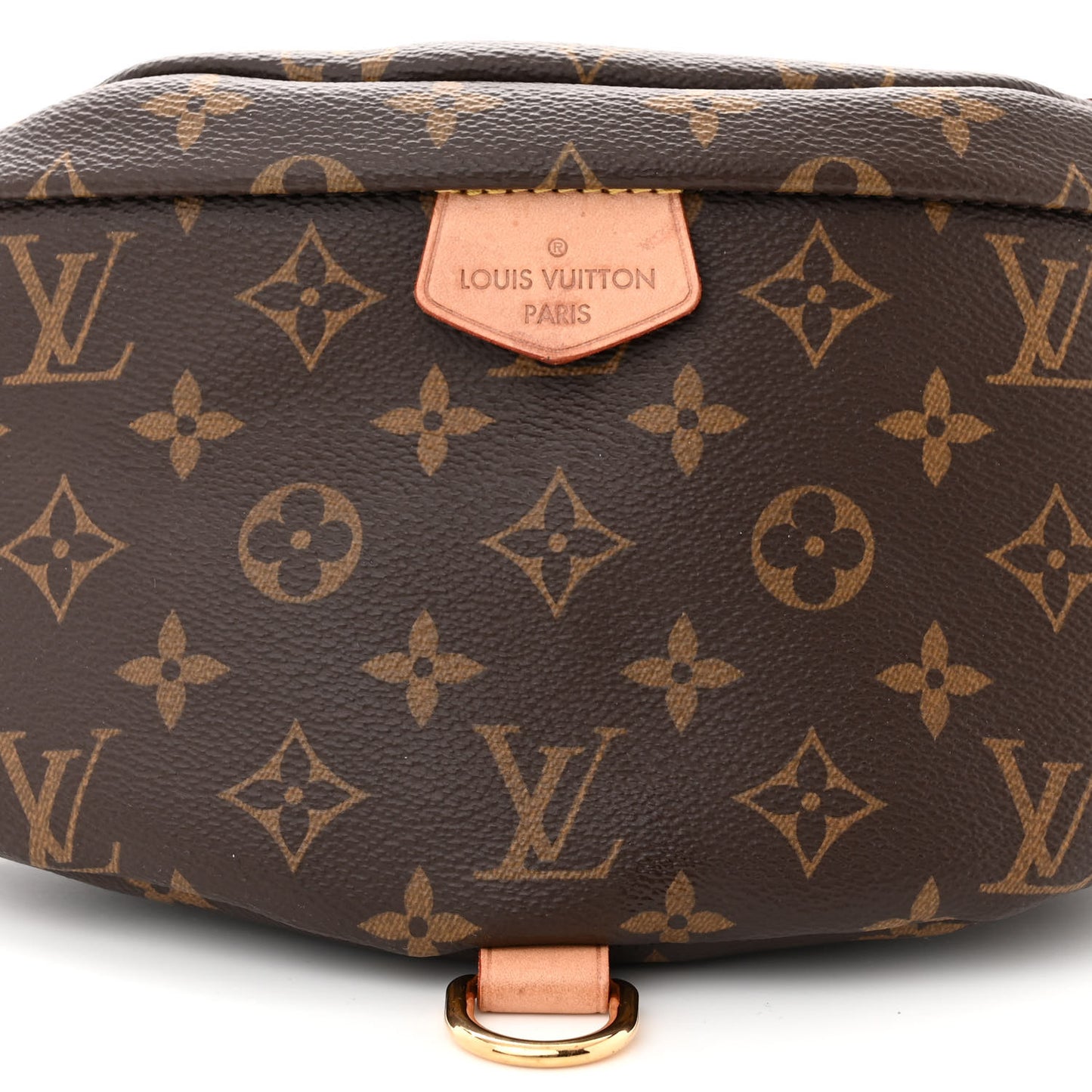 LOUIS VUITTON Monogram Bumbag