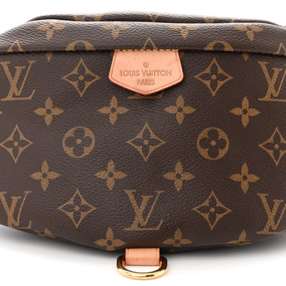 Louis Vuitton LOUIS VUITTON Monogram Bumbag 8 of 10