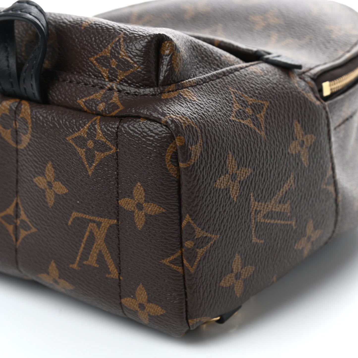 Monogram Palm Springs Backpack Mini