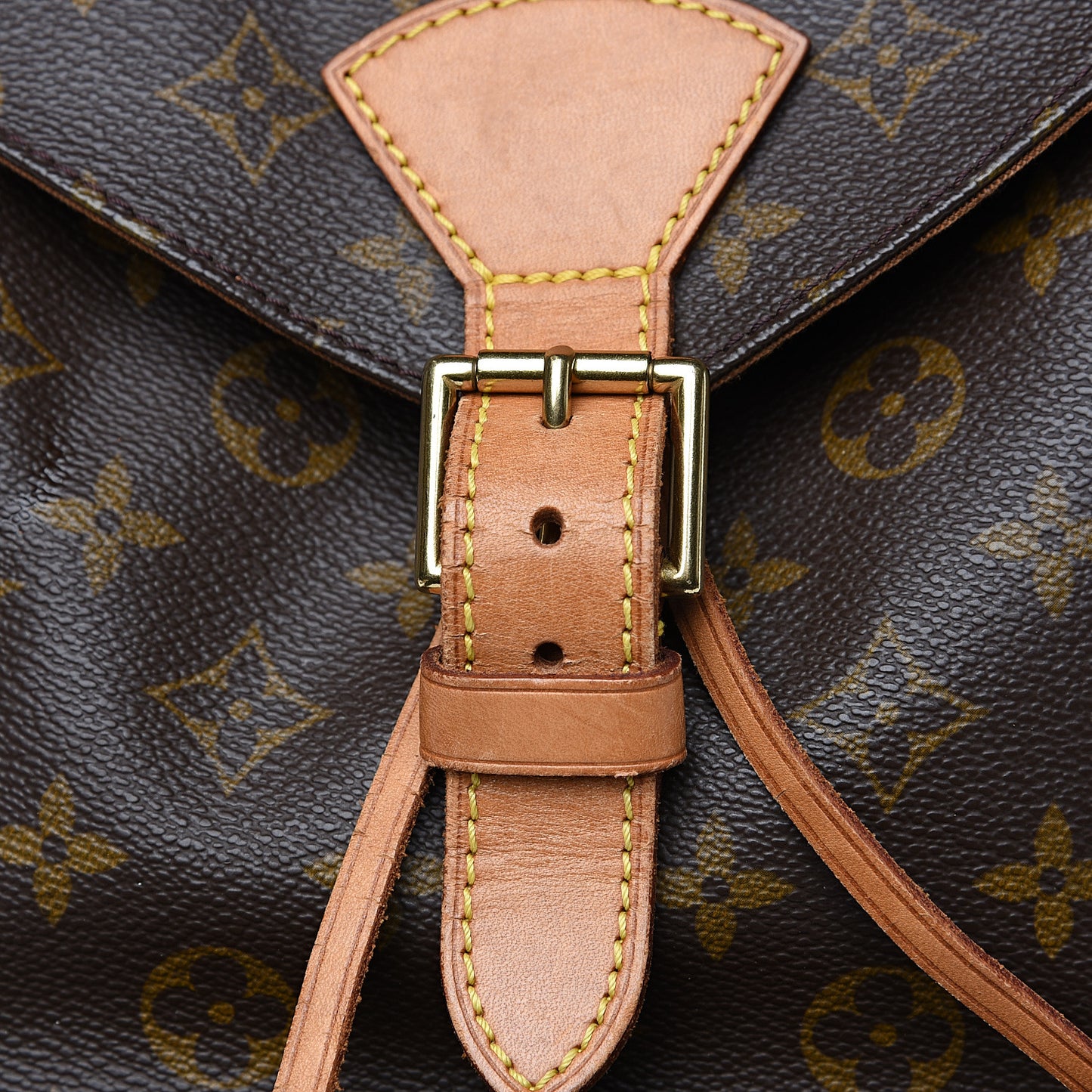 Monogram Montsouris GM Backpack