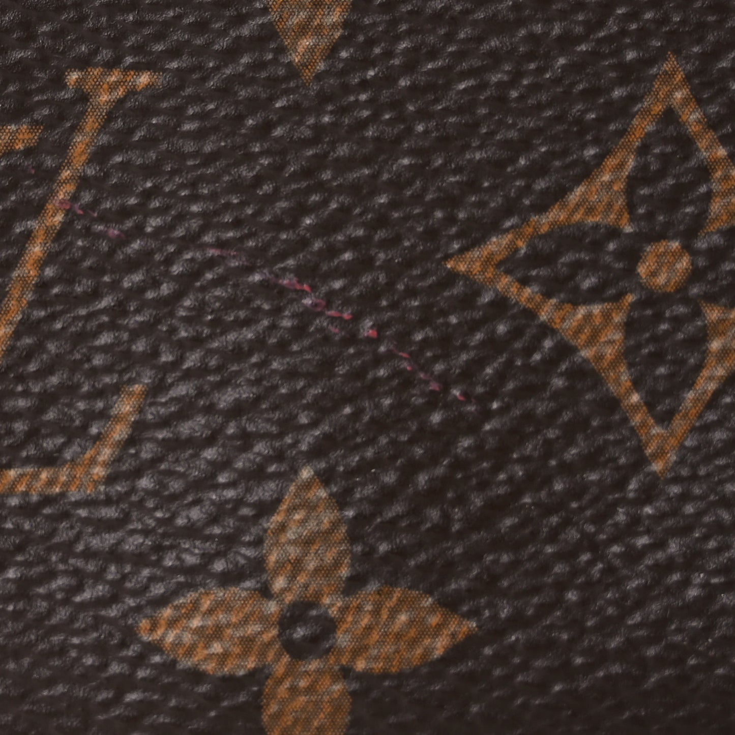 Monogram Mini Pochette Accessories