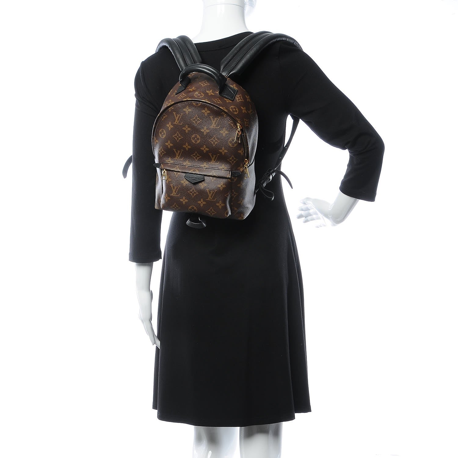 Louis Vuitton Monogram Palm Springs Backpack PM 2 of 8