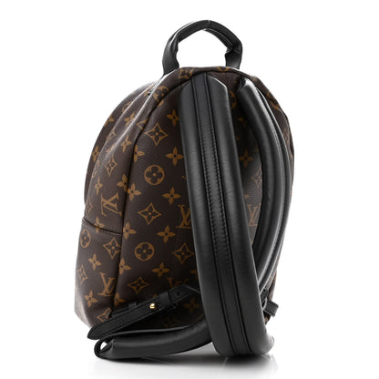 Louis Vuitton Monogram Palm Springs Backpack PM 3 of 9