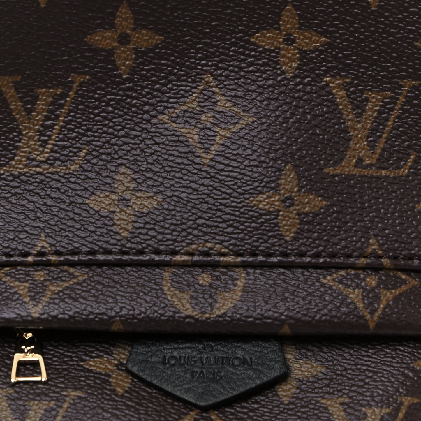 Monogram Palm Springs Backpack Mini