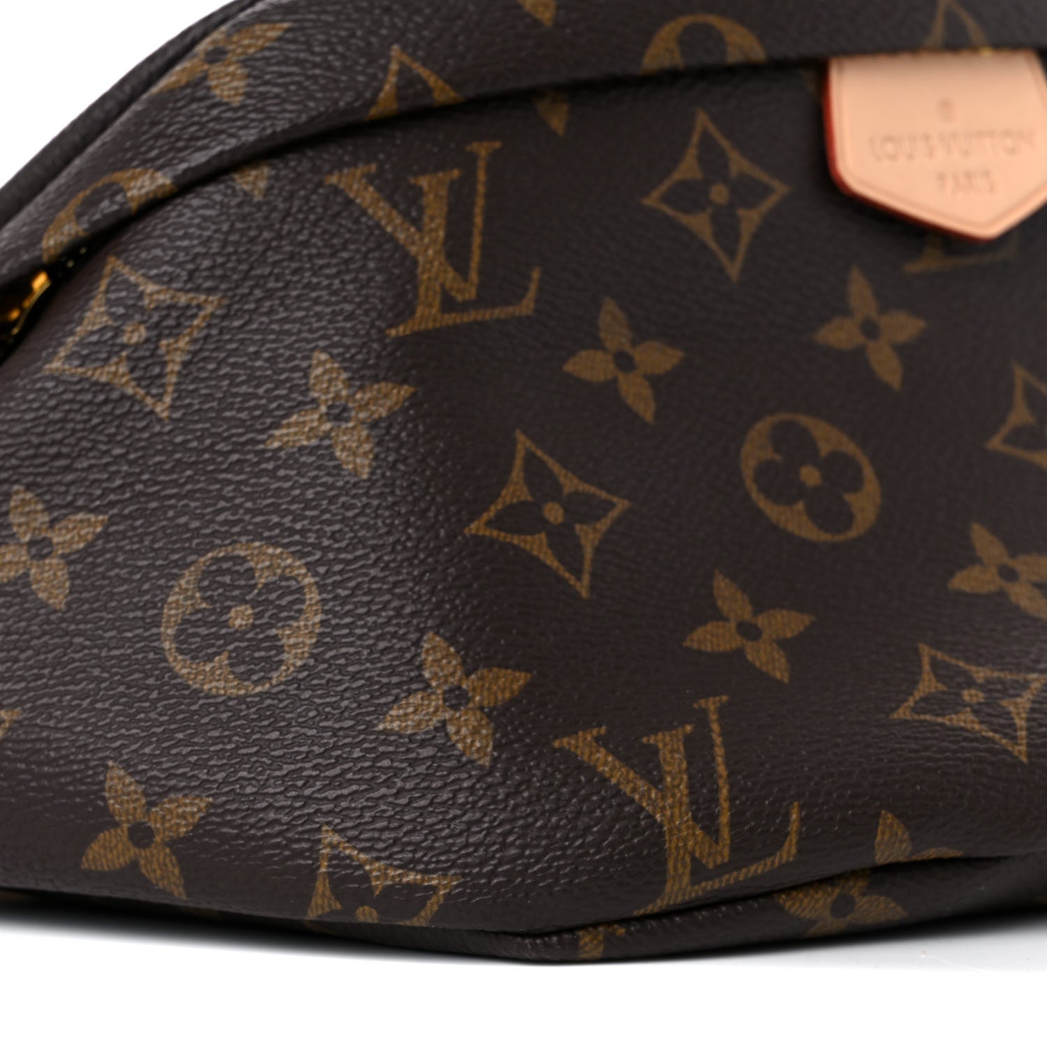 Louis Vuitton Monogram Bumbag 9 of 14