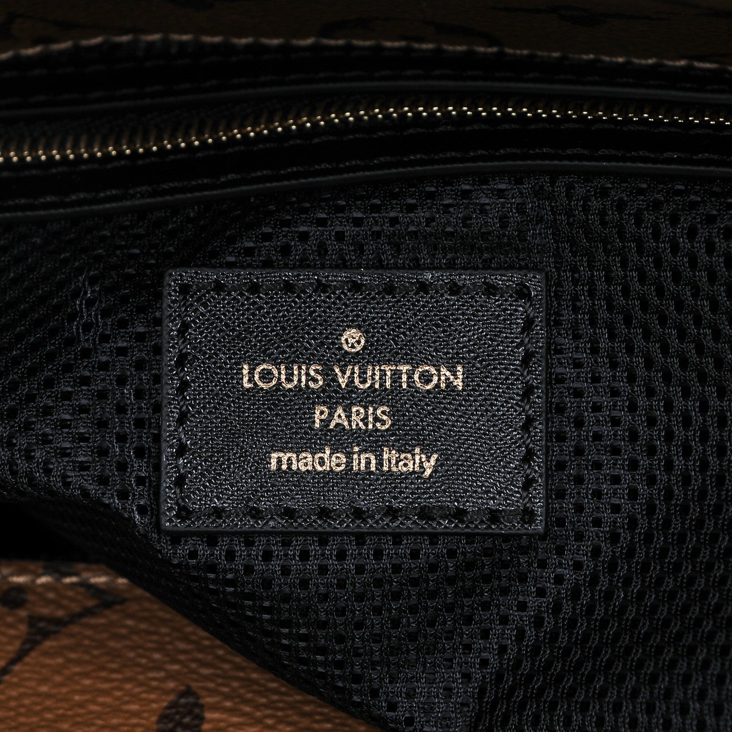 Louis Vuitton Reverse Monogram Tressage Tote 6 of 6