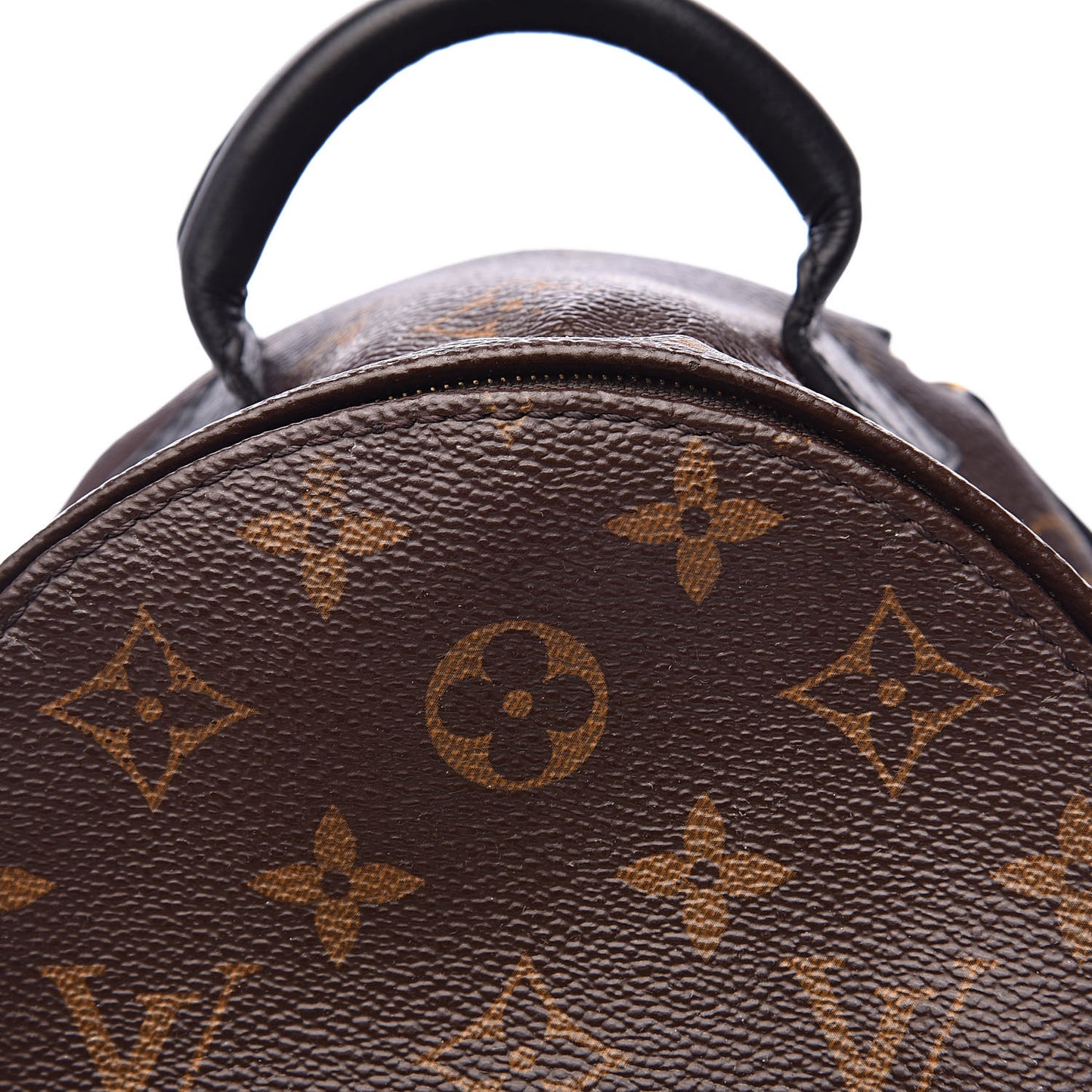 Monogram Palm Springs Backpack Mini