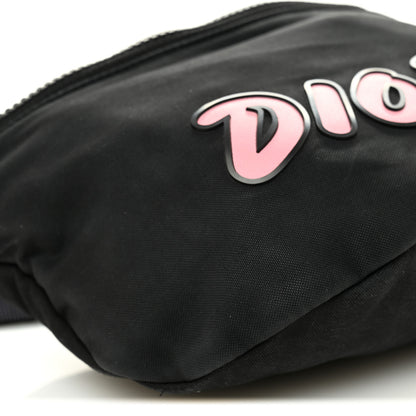 Christian Dior X KAWS Nylon Calfskin Bee Belt Bag Black 9 of 11