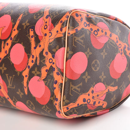 Louis Vuitton Monogram Ramages Speedy 30 Grenade 9 of 13