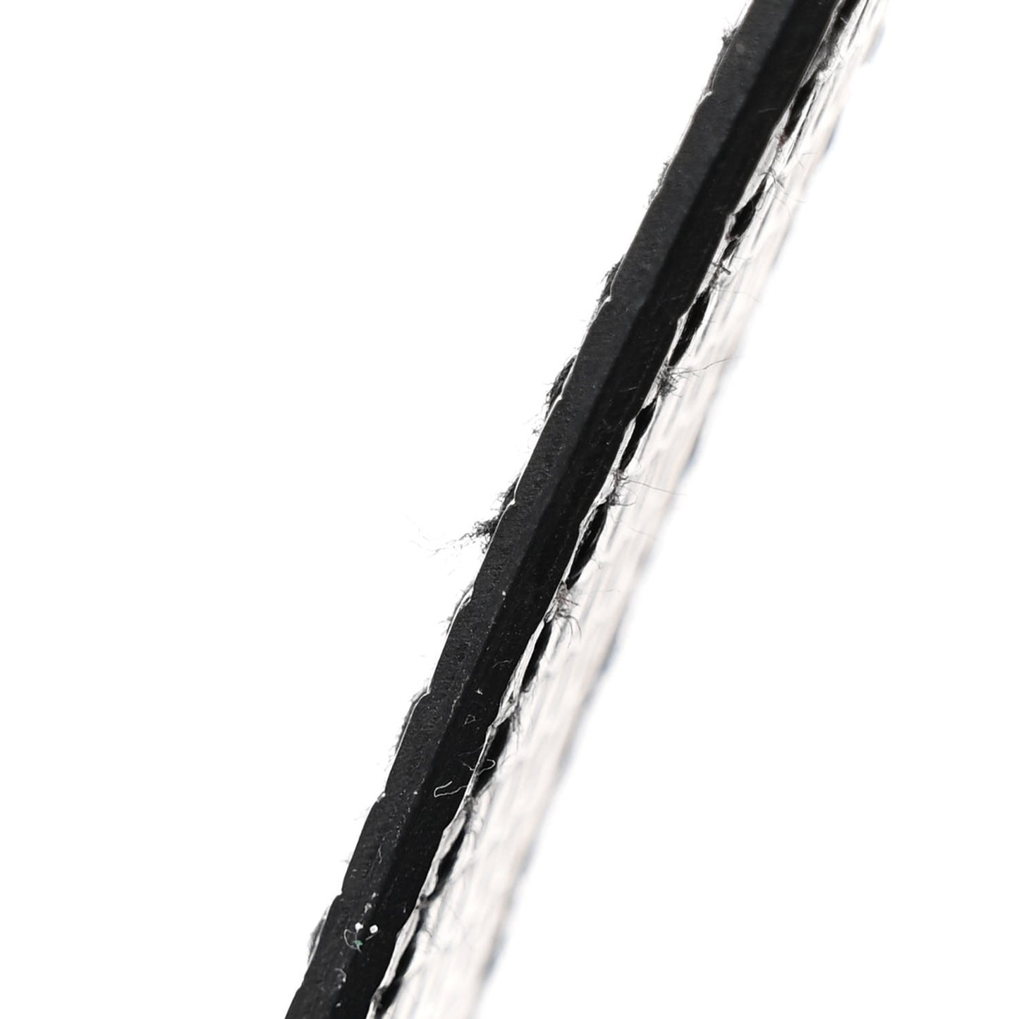 Lizard Constance 1-24 Black