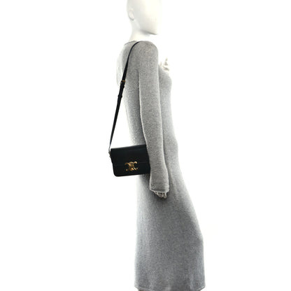 Celine Shiny Calfskin Teen Triomphe Black 2 of 14