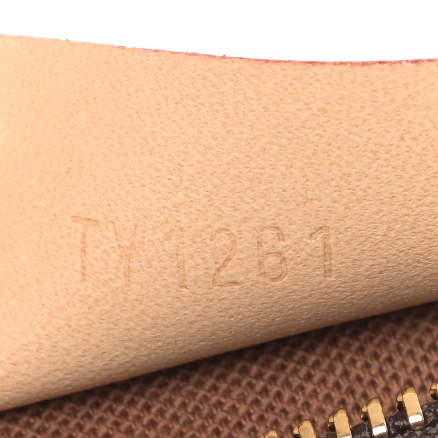 Monogram Nano Speedy