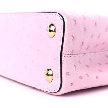 Louis Vuitton Ostrich Capucines BB Pear 8 of 8