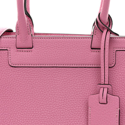 Moynat Taurillon Gex Pauline Tote Bougainvillier 8 of 13