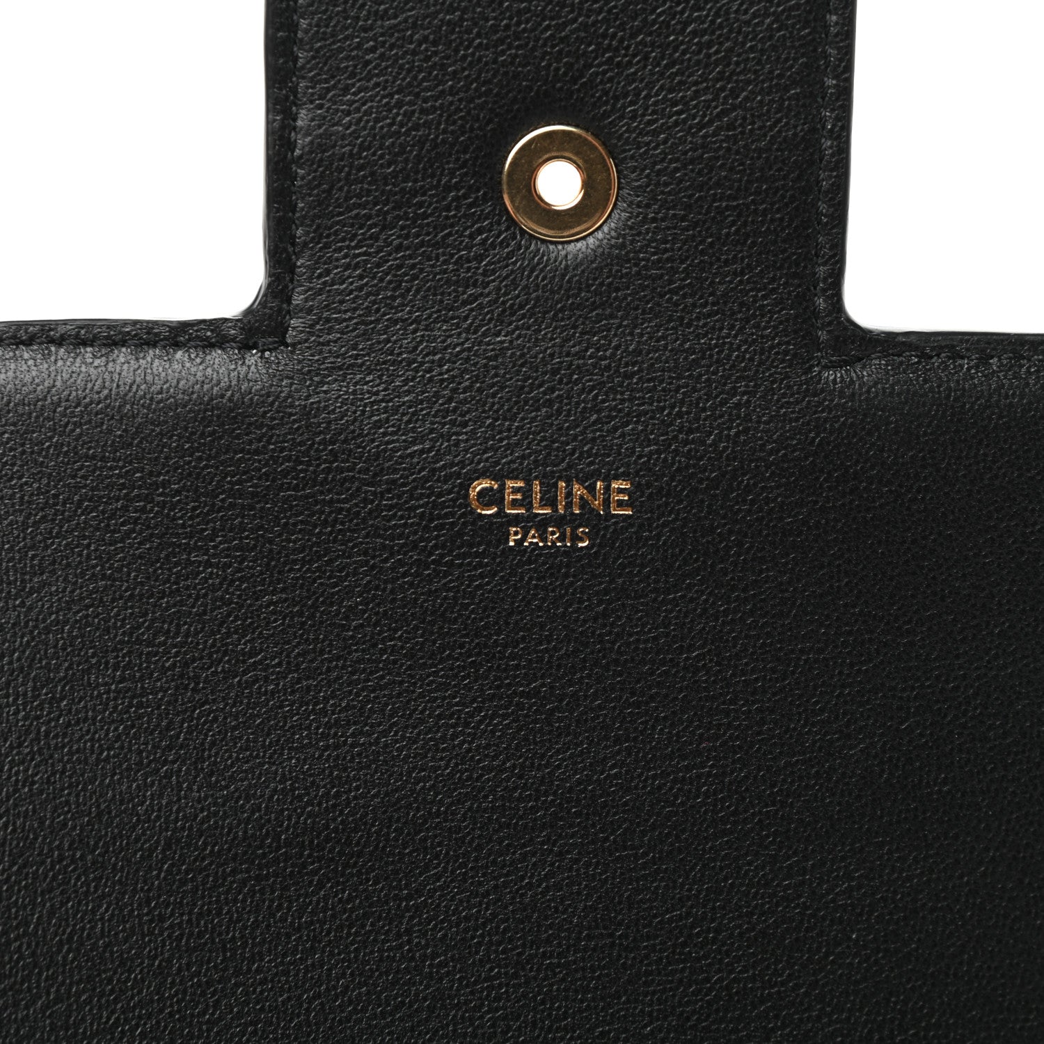 Celine Snakeskin Medium Chain Maillon Triomphe Brown 6 of 8