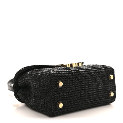 Celine Raffia Calfskin Teen Nino Black 4 of 9