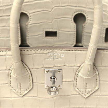 Hermes Matte Alligator Birkin 25 Beton 5 of 10