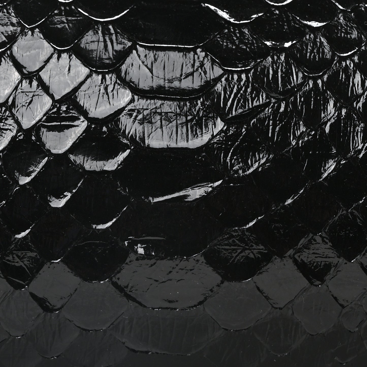 Snakeskin Edith Bag Black