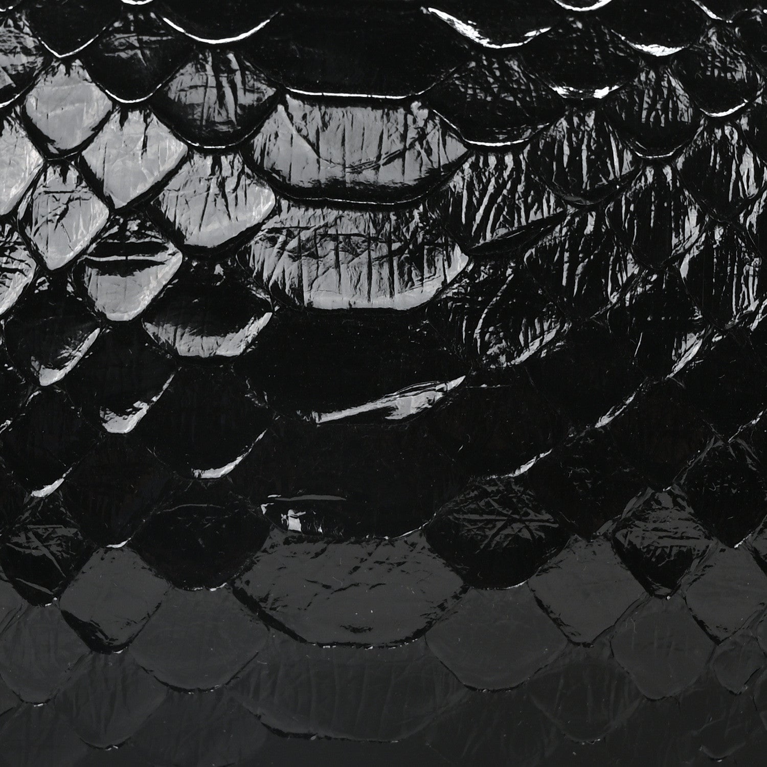 The Row Snakeskin Edith Bag Black 7 of 9