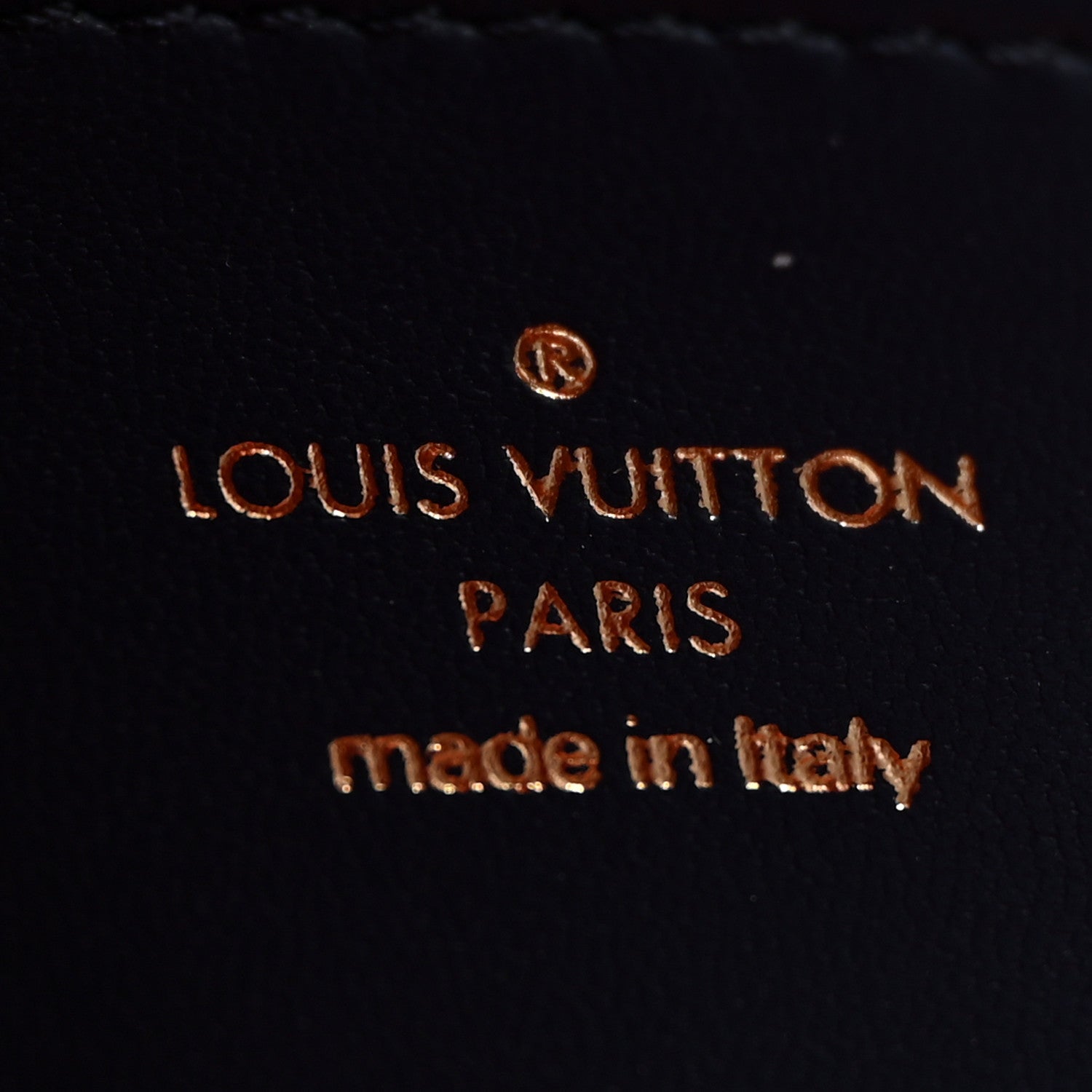 Louis Vuitton Lambskin Embossed Monogram LV Garden Pochette Coussin Navy 6 of 9