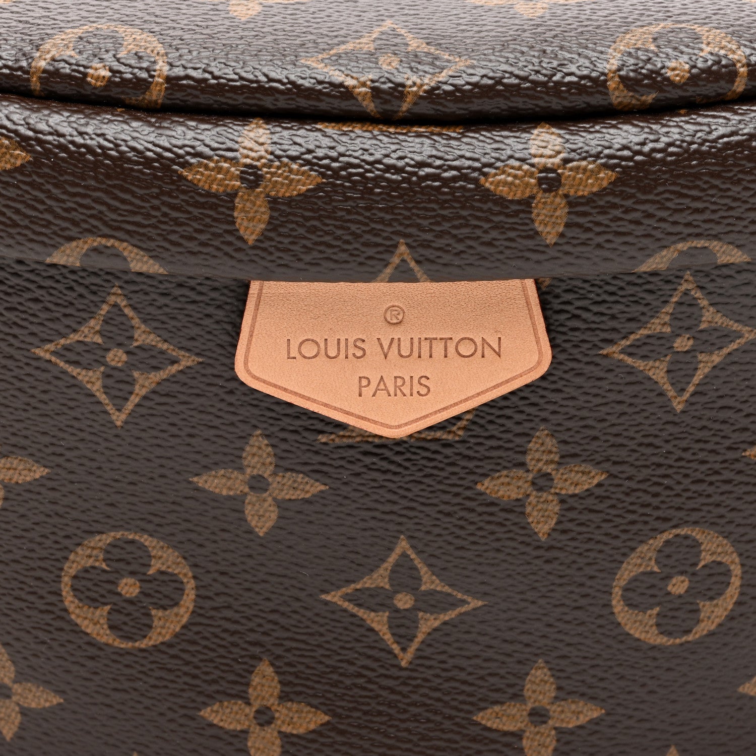 Louis Vuitton Monogram Bumbag 7 of 9