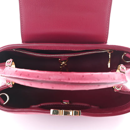 Louis Vuitton Ostrich Capucines BB Berry 5 of 9