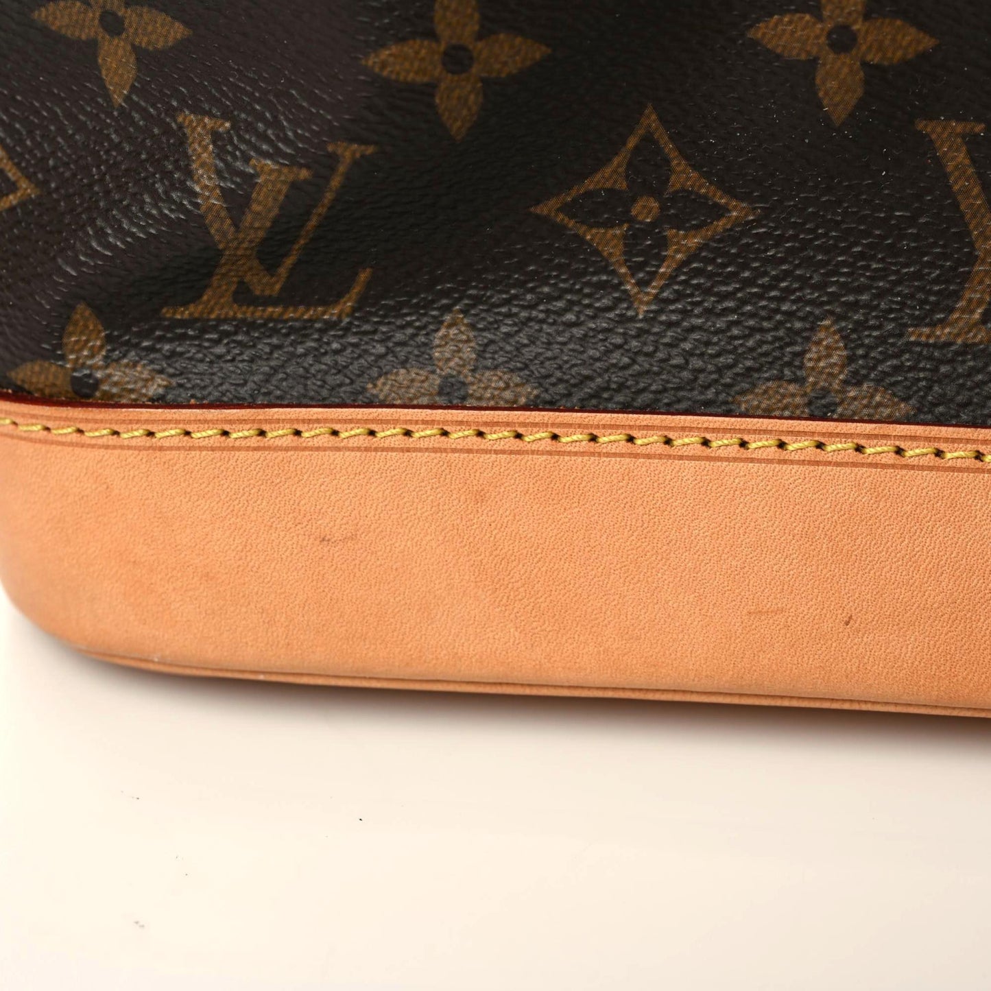 Monogram Petit Noe NM