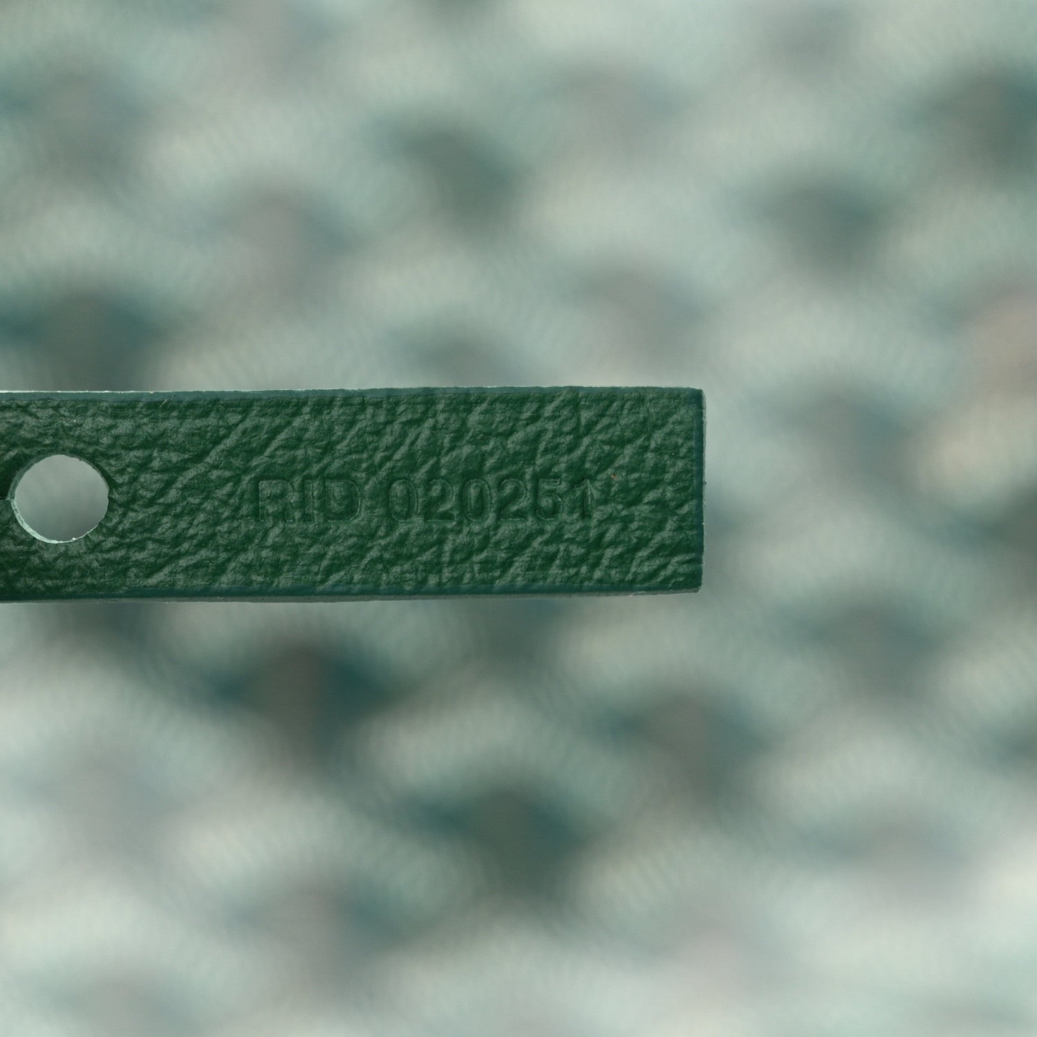 Goyard Goyardine Saint Louis PM Green 8 of 11