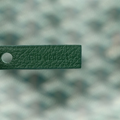 Goyard Goyardine Saint Louis PM Green 8 of 11