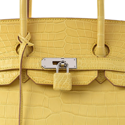 Hermes Matte Porosus Crocodile Birkin 35 Mimosa 29 of 39