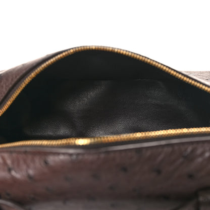 Loro Piana Ostrich L19 Extra Pocket Pouch Chocolate 5 of 10