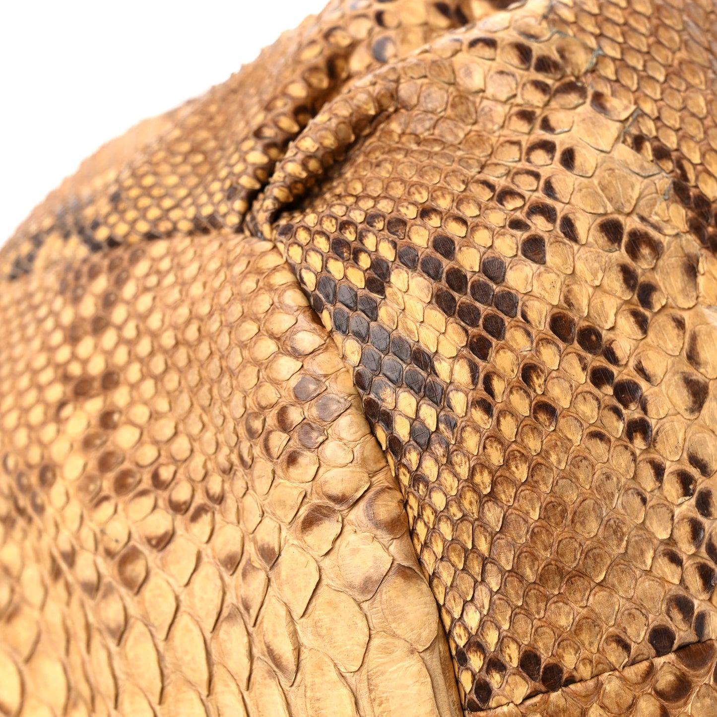 Waxed Snakeskin Duette Shoulder Bag